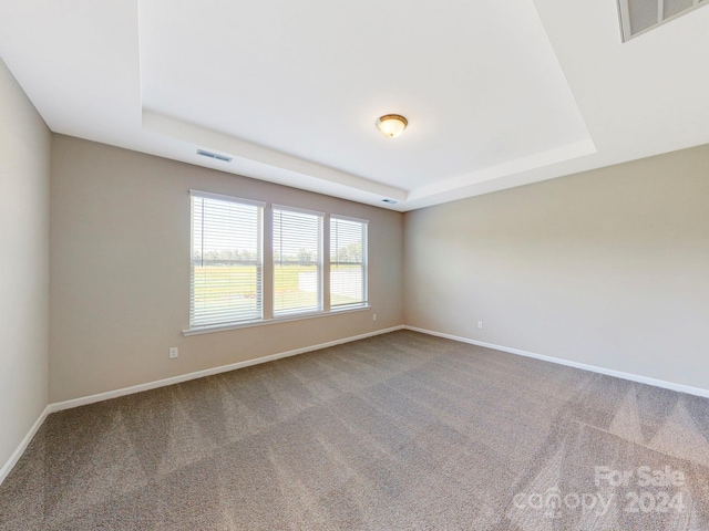 carpeted spare room with a raised ceiling