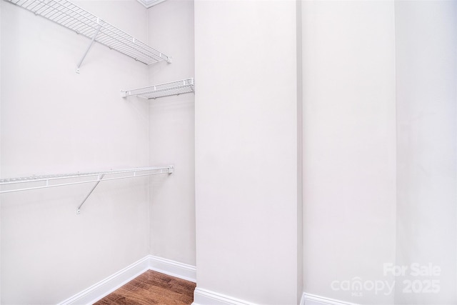 spacious closet featuring wood finished floors