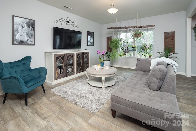 living room featuring hardwood / wood-style floors