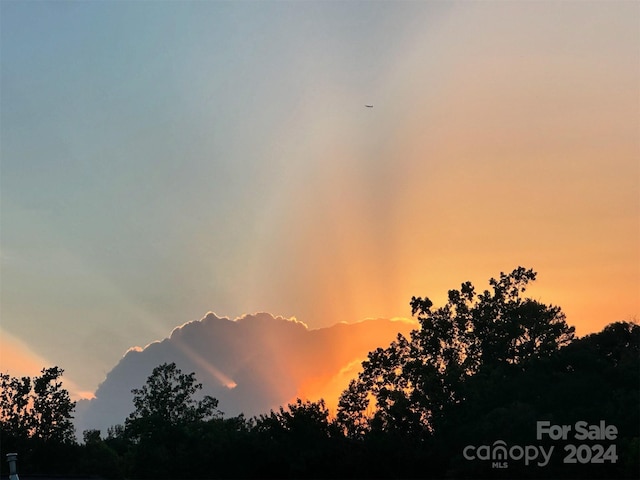 view of nature at dusk