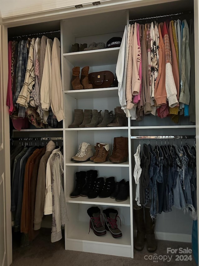 view of closet