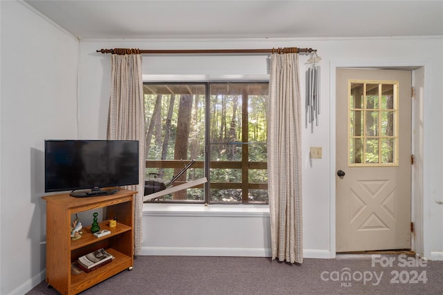 doorway to outside featuring carpet flooring and a wealth of natural light