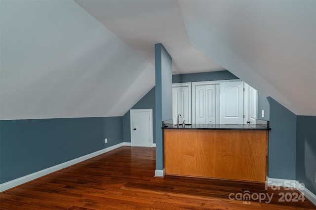 additional living space with sink, vaulted ceiling, and dark hardwood / wood-style flooring