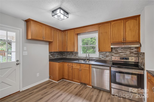 kitchen with sink, light hardwood / wood-style flooring, stainless steel appliances, and plenty of natural light