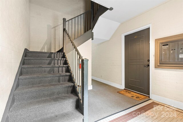 stairway featuring carpet