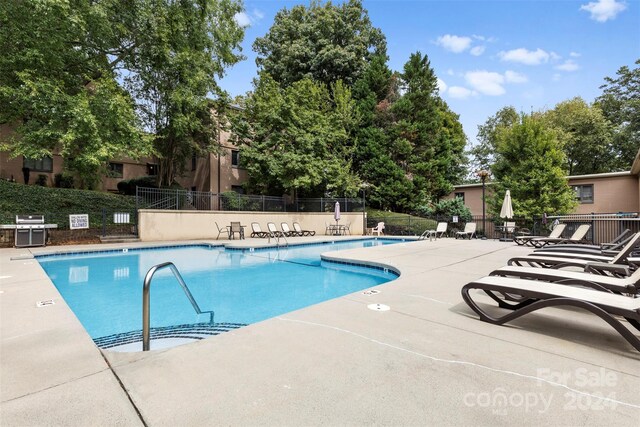 view of swimming pool with a patio area and a grill