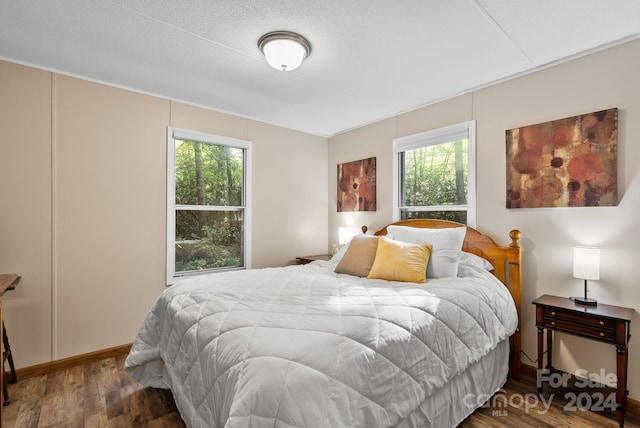 bedroom featuring hardwood / wood-style flooring, a textured ceiling, and multiple windows