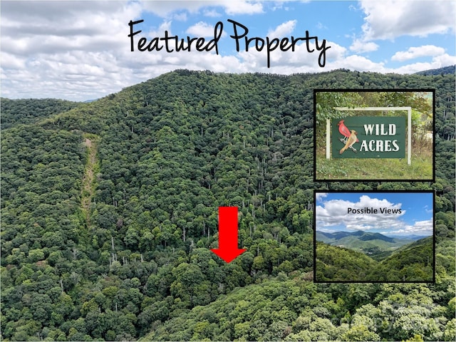 00 Angel Falls Trl, Maggie Valley NC, 28751 land for sale