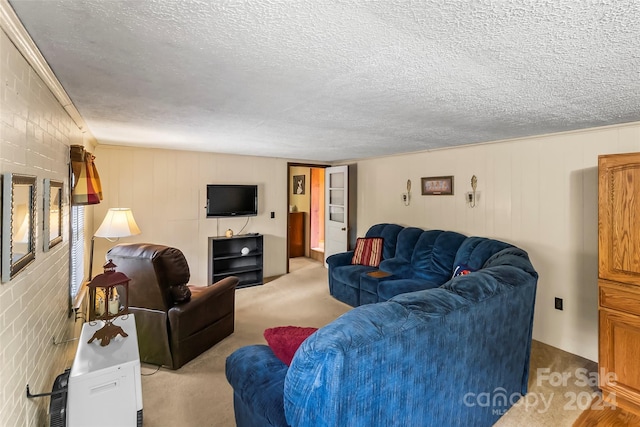 living room with light colored carpet and a textured ceiling