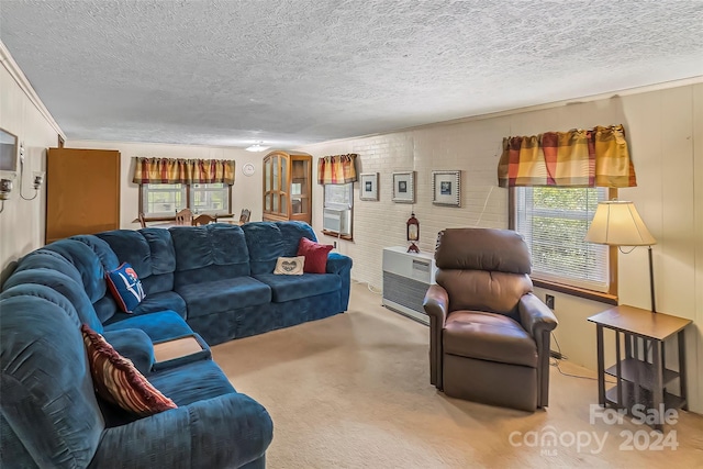 living room with a textured ceiling and a healthy amount of sunlight