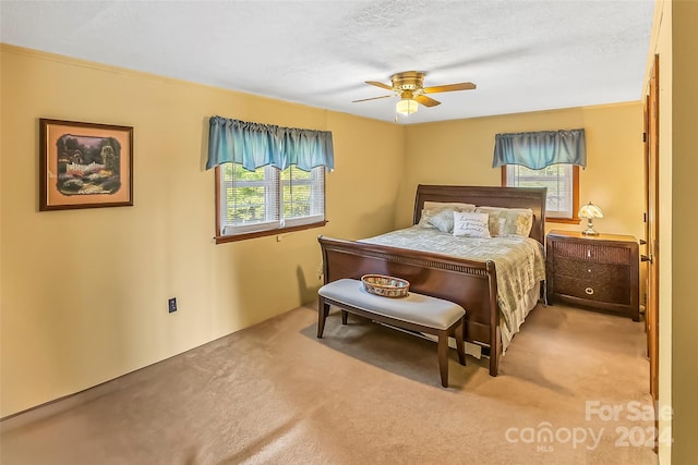 carpeted bedroom with multiple windows, ceiling fan, and a textured ceiling