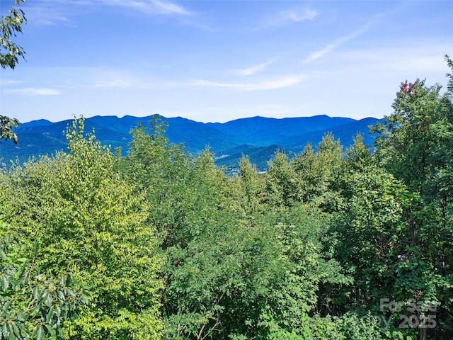 58 Mountain Azalea Dr, Swannanoa NC, 28778 land for sale