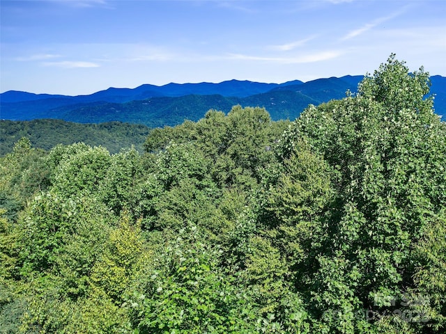 Listing photo 3 for 58 Mountain Azalea Dr, Swannanoa NC 28778