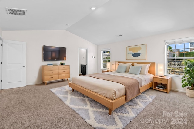 carpeted bedroom with ensuite bath, multiple windows, and lofted ceiling