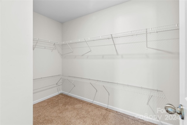 walk in closet with carpet flooring