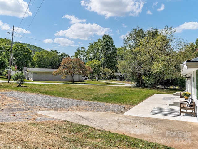 view of yard featuring a patio area