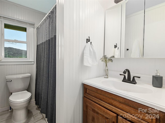 bathroom featuring a shower with curtain, toilet, and vanity