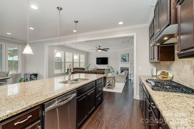 kitchen featuring stainless steel appliances, ceiling fan, a healthy amount of sunlight, and sink