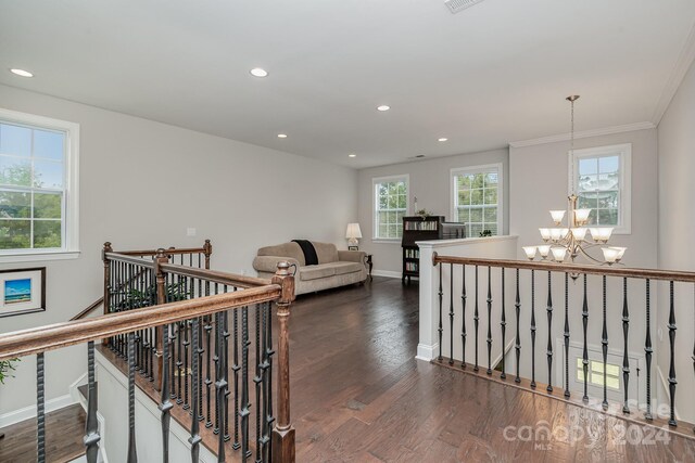 hall with ornamental molding, dark hardwood / wood-style flooring, and a notable chandelier