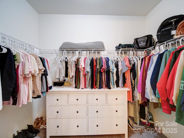 spacious closet with carpet flooring