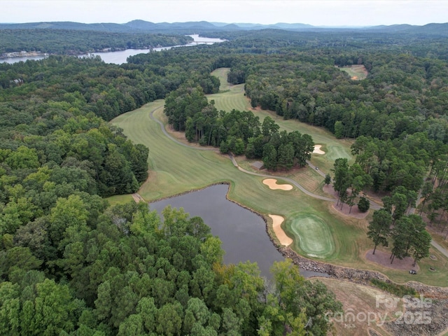 birds eye view of property with a water and mountain view