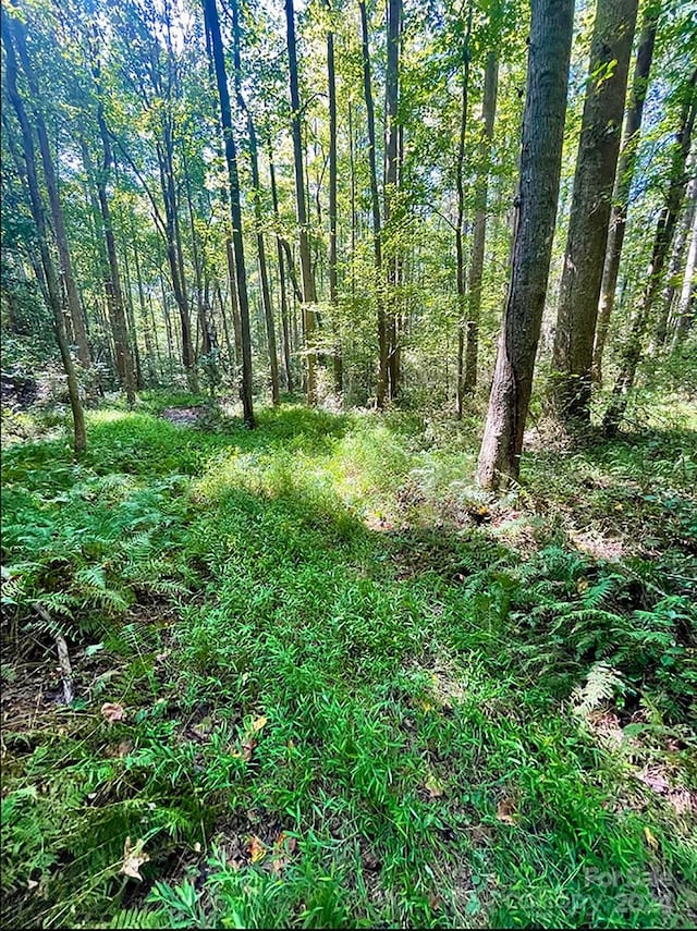 Listing photo 3 for LOT19 Knottywood Ln Lot 19, Vale NC 28168