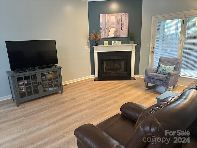 living room featuring light hardwood / wood-style flooring