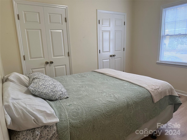 bedroom featuring wood-type flooring