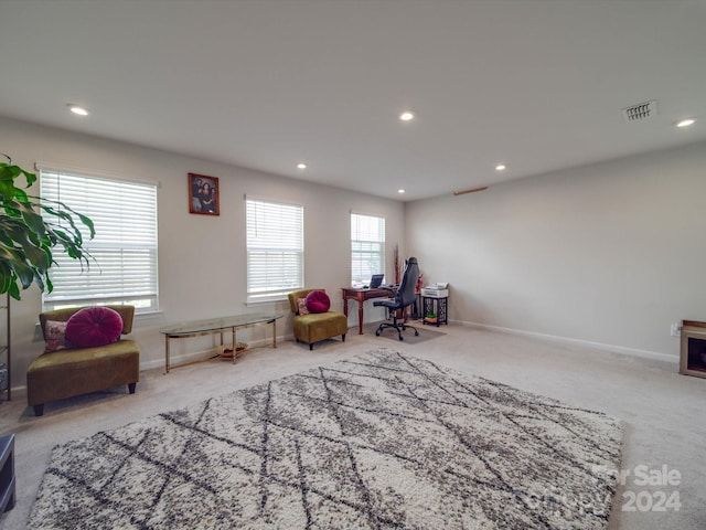 living area featuring carpet flooring