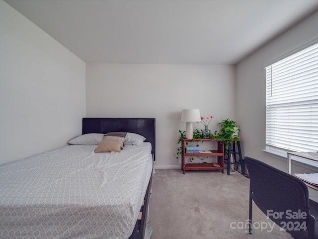 bedroom with light carpet and multiple windows