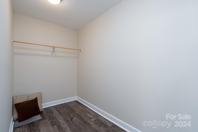 walk in closet with dark wood-type flooring