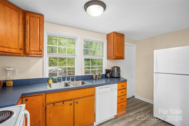 kitchen featuring white appliances, wood-type flooring, and sink