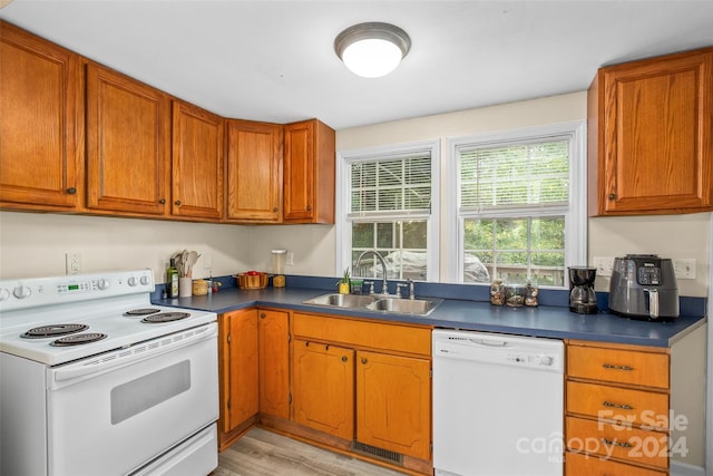 kitchen featuring light hardwood / wood-style flooring, white appliances, and sink