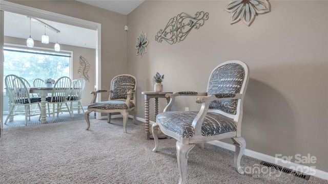 sitting room with carpet flooring