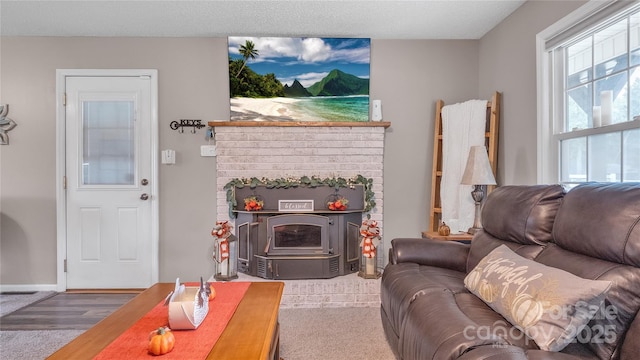 living room with wood-type flooring, a textured ceiling, and a wood stove