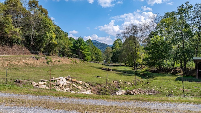 view of yard featuring a mountain view