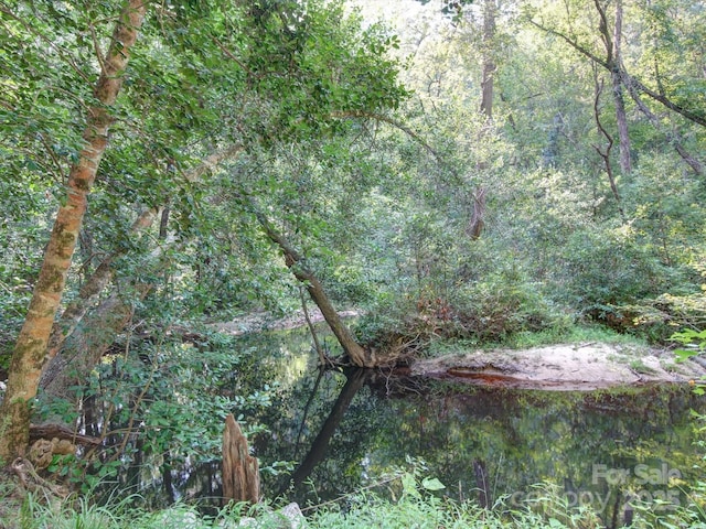 view of nature with a water view and a wooded view