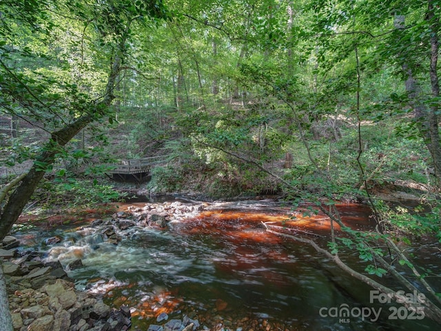 view of local wilderness featuring a forest view