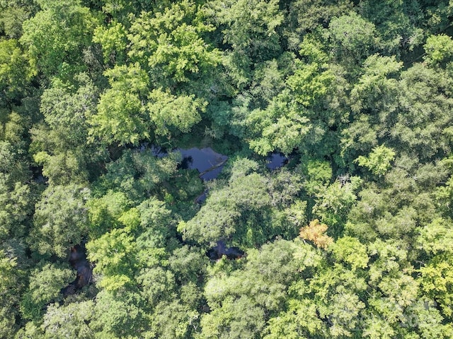 aerial view with a view of trees