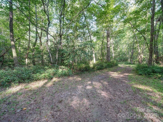 view of nature with a wooded view