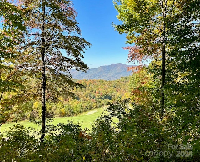 1781 High Line Rd Unit 63, Sylva NC, 28779 land for sale