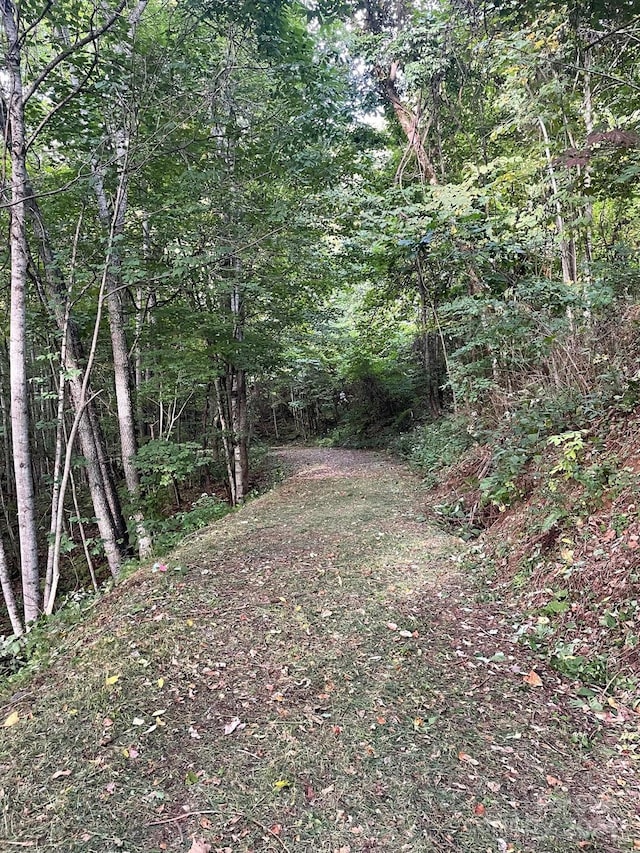 1781 High Line Rd Unit 63, Sylva, NC 28779 - photo 4