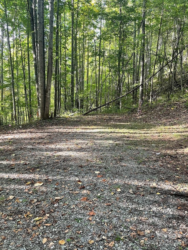1781 High Line Rd Unit 63, Sylva, NC 28779 - photo 6