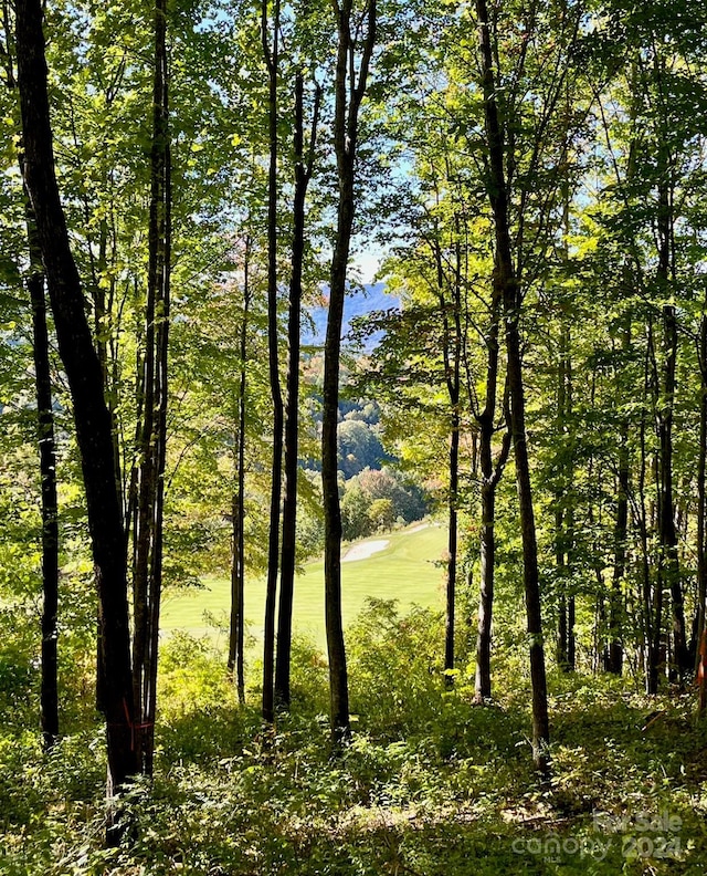1781 High Line Rd Unit 63, Sylva, NC 28779 - photo 7