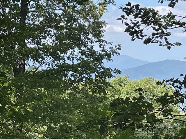 LT176 E Reach Rd Unit 176, Sylva, NC 28779
