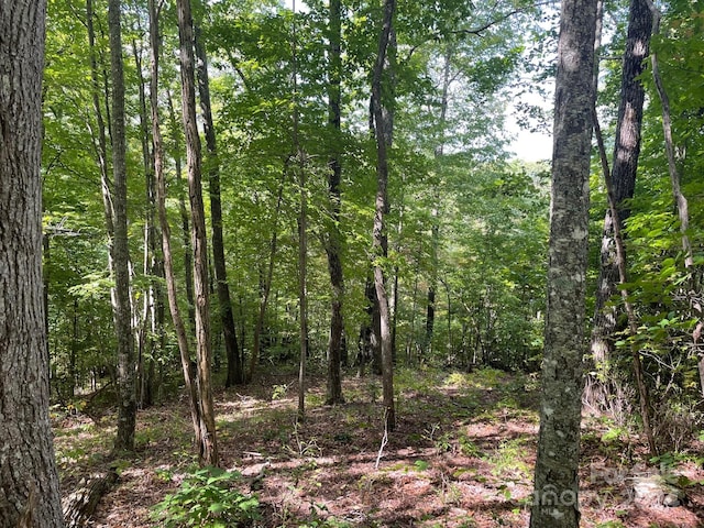 Listing photo 3 for LT176 E Reach Rd Unit 176, Sylva NC 28779