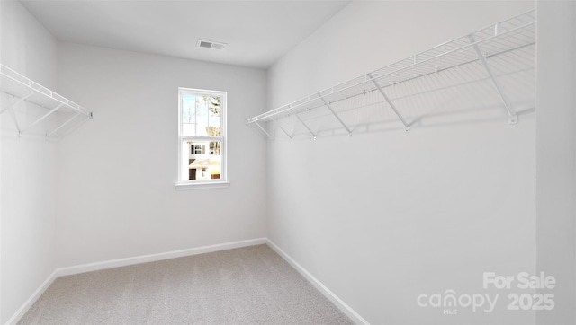 walk in closet featuring carpet and visible vents