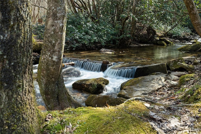 view of nature