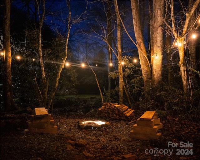 view of yard at night