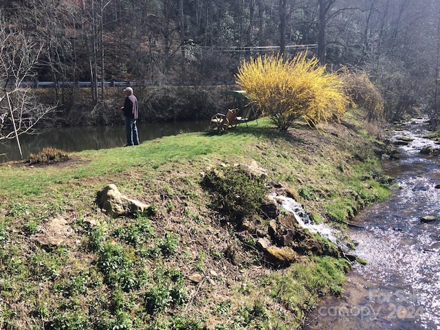 view of yard with a water view